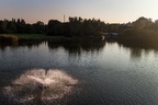 IMG 0708