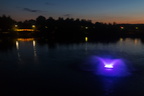IMG 0716